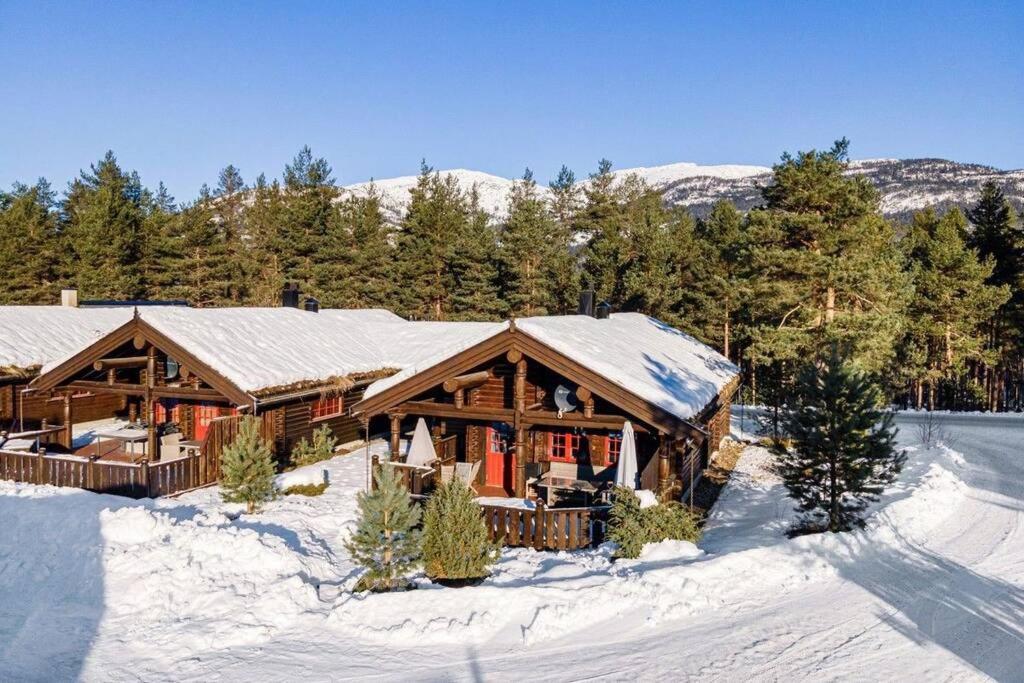 100M Lift, 2 Min Swim - Large Family Cabin Vrådal Exteriör bild